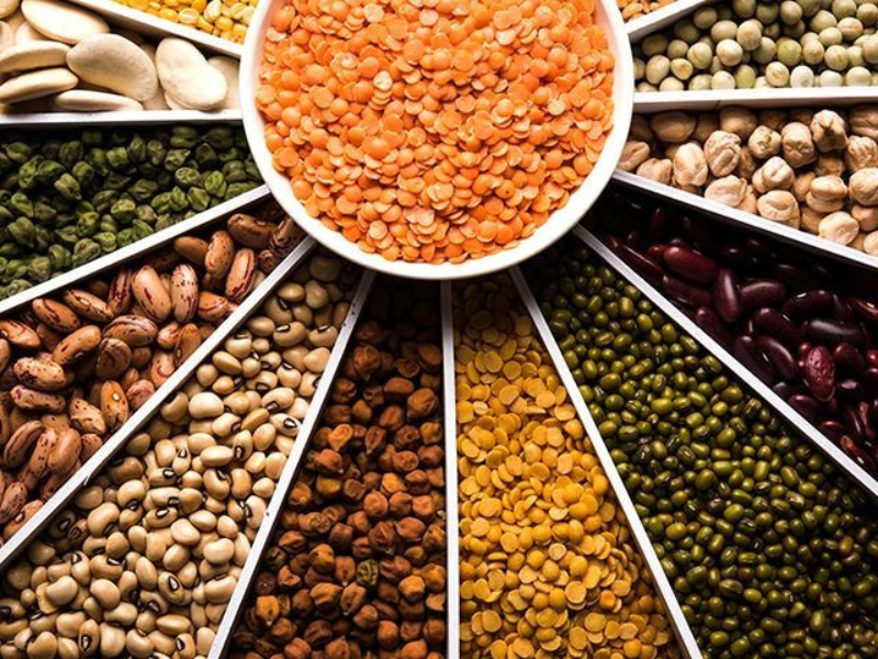 Pulses & Lentils
